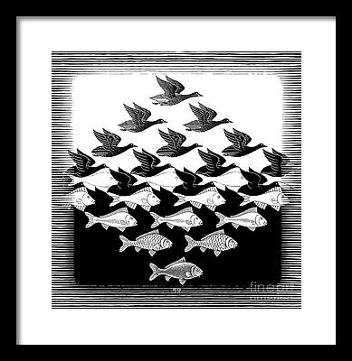 Fish Drawings Framed Prints