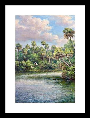 St. Lucie River Framed Prints