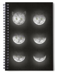 Moon Cycles Spiral Notebooks
