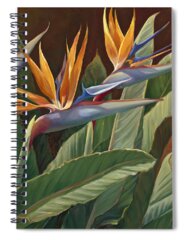 Bird Of Paradise Flower Spiral Notebooks
