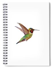 Annas Hummingbird Spiral Notebooks
