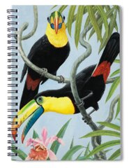 Bird Watching Spiral Notebooks