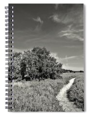 Blue Mudstone Spiral Notebooks