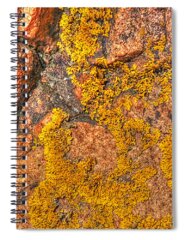 Yellow Red Lichen Wall Detail Spiral Notebooks