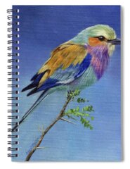 African Bird Spiral Notebooks