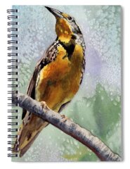 Meadowlark Spiral Notebooks