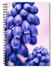 Bulbous Plant Spiral Notebooks