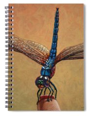 Darner Spiral Notebooks