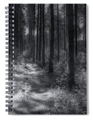 Pine Needles Spiral Notebooks