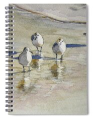 Shoreline Watercolor Cards Spiral Notebooks