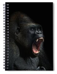 Gorilla Spiral Notebooks