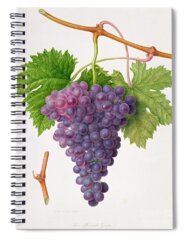 Wild Grape Spiral Notebooks