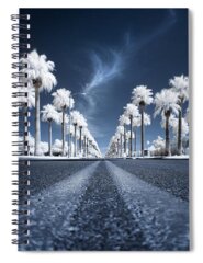 Palm Spiral Notebooks