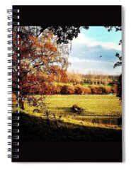 Autumn Landscape Spiral Notebooks