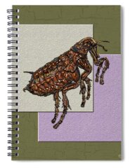 Fleas Spiral Notebooks