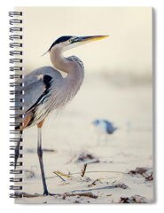 Driftwood Beach Spiral Notebooks