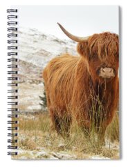 Farmhouse Spiral Notebooks
