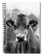 Animal Spiral Notebooks