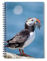 Farne Islands Spiral Notebooks