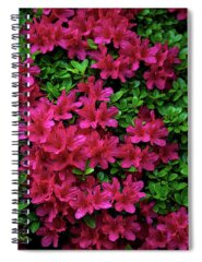 Rhododendron Spiral Notebooks