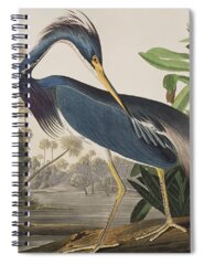 Feather River Spiral Notebooks