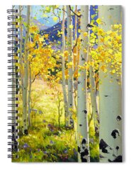Vibrant Color Spiral Notebooks