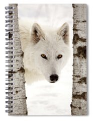 Arctic Wolf Images Spiral Notebooks