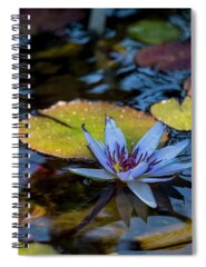 Tropical Water Lily Spiral Notebooks