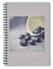 Blueberry Spiral Notebooks