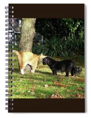 Lovecats Spiral Notebooks