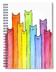 Rainbow Spiral Notebooks