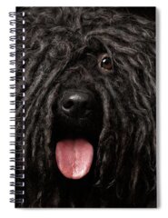 Shepherd Dog Spiral Notebooks