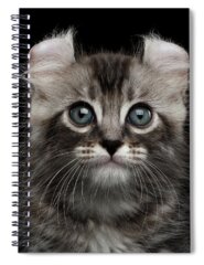 Domestic Longhair Spiral Notebooks