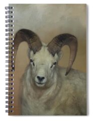 Dall Sheep Spiral Notebooks