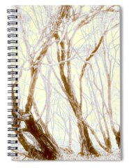 Charra Spiral Notebooks