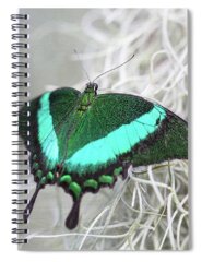 Emerald Swallowtail Spiral Notebooks