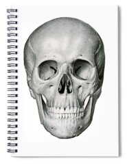 Frontal Bones Spiral Notebooks