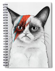 Grumpy Spiral Notebooks