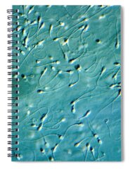 Differential Interference Contrast Microscopy Spiral Notebooks