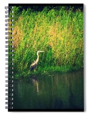 Wetlands Spiral Notebooks