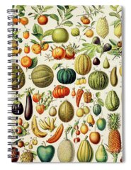 Designs Similar to Illustration of Fruit