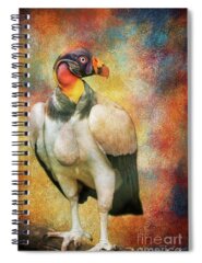 King Vulture Spiral Notebooks