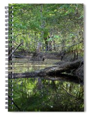 Econlockhatchee River Spiral Notebooks