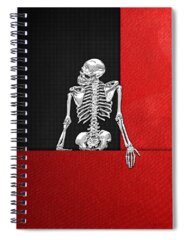 Human Spiral Notebooks