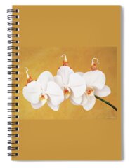 Moth Orchid Spiral Notebooks