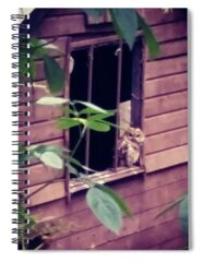 Birdphotography Spiral Notebooks