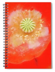 Oriental Poppy Spiral Notebooks
