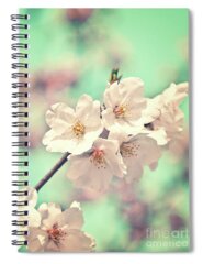 Greetings Cards With Cherries Spiral Notebooks