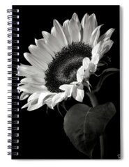 Black and White Flower Photography Spiral Notebooks