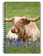 Springtime In Texas Spiral Notebooks